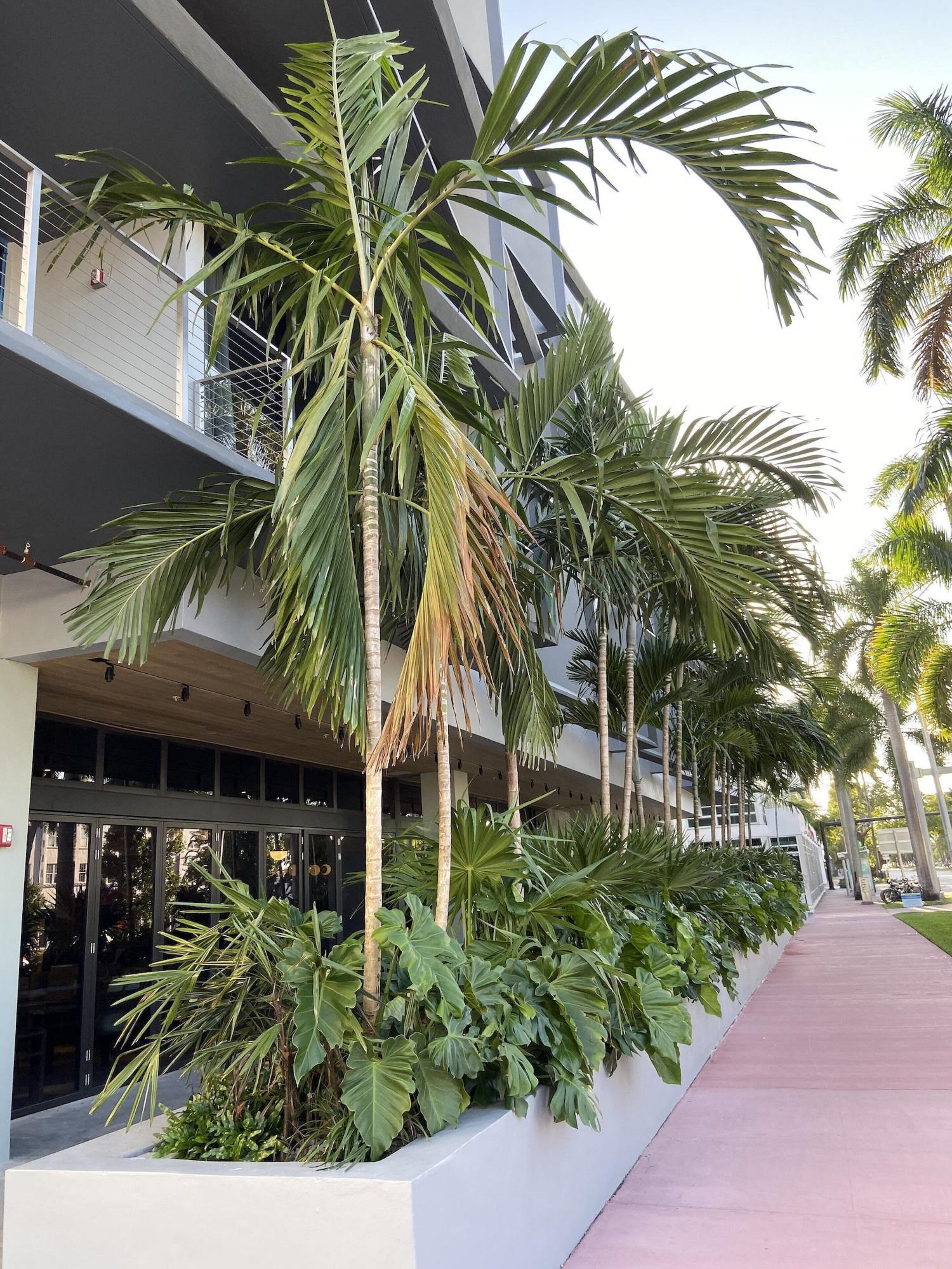 Urbanica Euclid Hotel Miami Beach Exterior photo